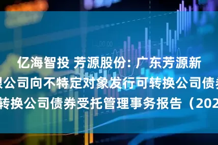 亿海智投 芳源股份: 广东芳源新材料集团股份有限公司向不特定对象发行可转换公司债券受托管理事务报告（2024年度）