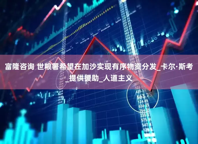 富隆咨询 世粮署希望在加沙实现有序物资分发_卡尔·斯考_提供援助_人道主义
