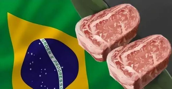 瑞银投资 巴西牛排：断子绝孙的廉价肉交易