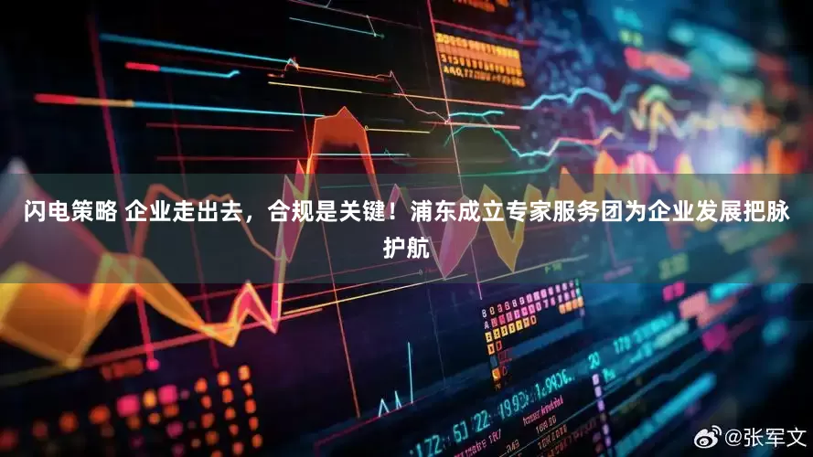 闪电策略 企业走出去，合规是关键！浦东成立专家服务团为企业发展把脉护航